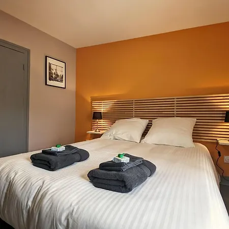 Au Coeur Du Puy-en-velay Avec Parking Et Wifi - Fr-1-582-519 B&B *