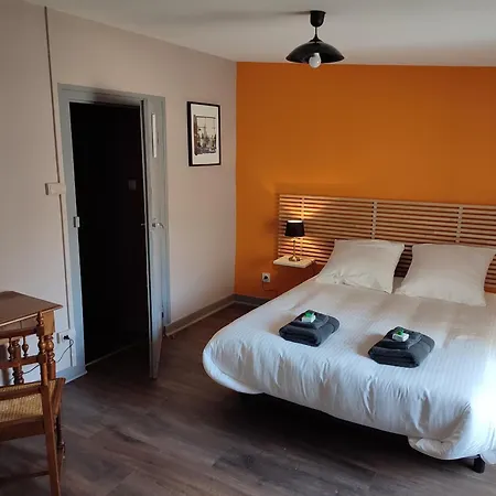 Au Coeur Du Puy-en-velay Avec Parking Et Wifi - Fr-1-582-519 Bed & Breakfast *